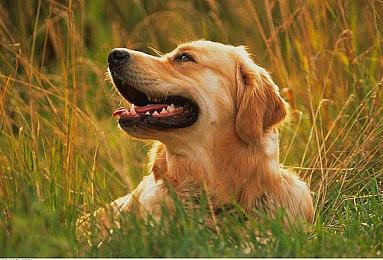 游戏之夜S4：《沙石镇时光》将于明年1月登陆Wegame