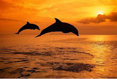 《英灵神殿》“家园”升级档情报：可建造藏宝库