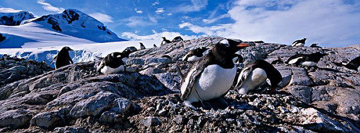 《忍者龙剑传2：黑之章》Steam同时在线峰值2259人